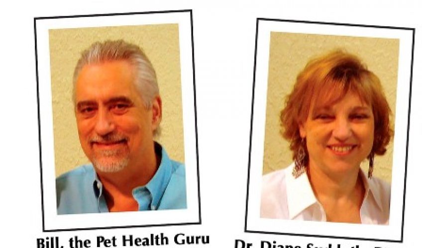 Bill “The Pet Health Guru” and Dr. Diane